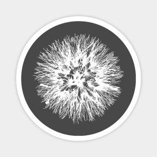 Make A Wish Dandelion Illustration In White Magnet